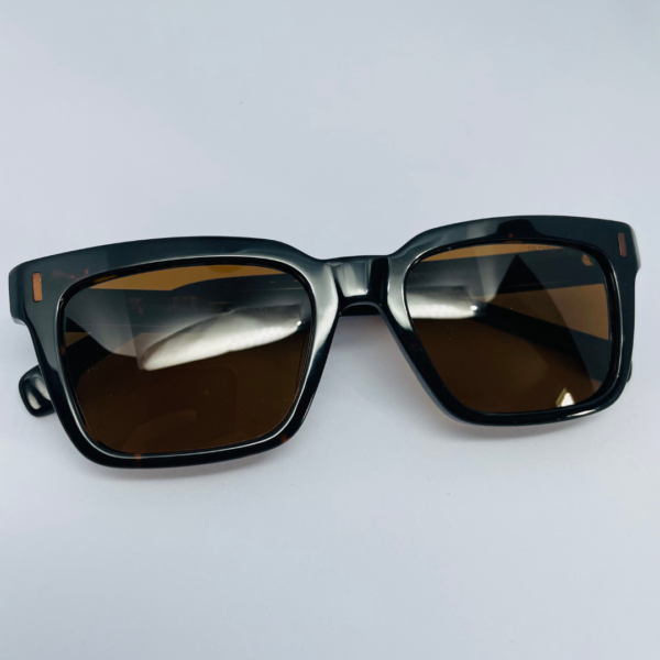 Trendy sunglasses collection for men