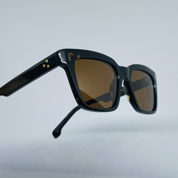Trendy eyewear collection for summer fashion